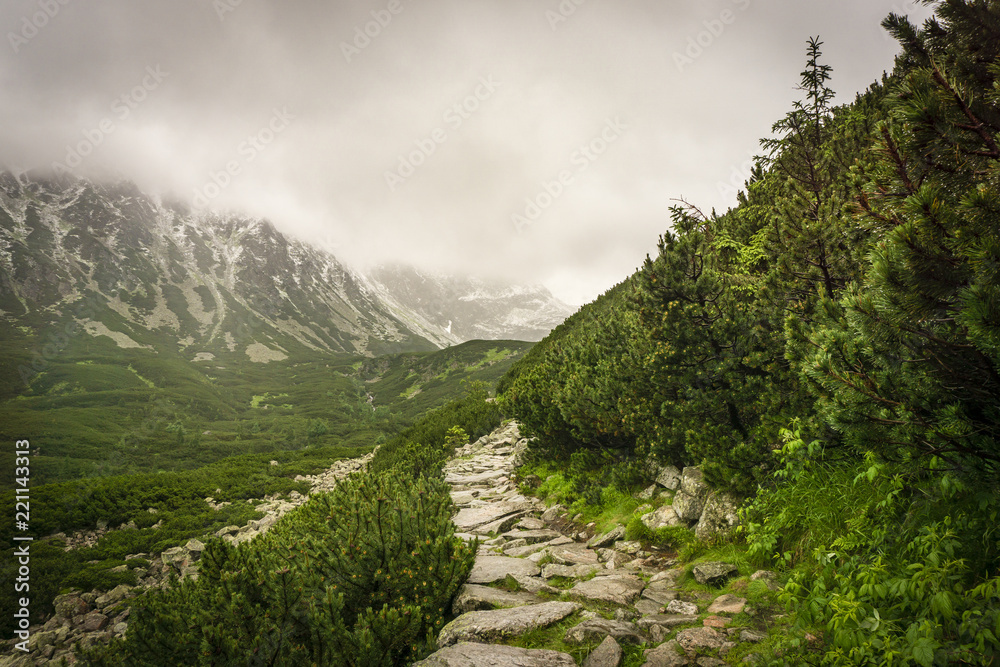 Mountain trail in Gasienicowa Valley in June. Tatra Mountains. Poland. Mountain trail in Gasienicowa Valley in June. Tatra Mountains. Poland.