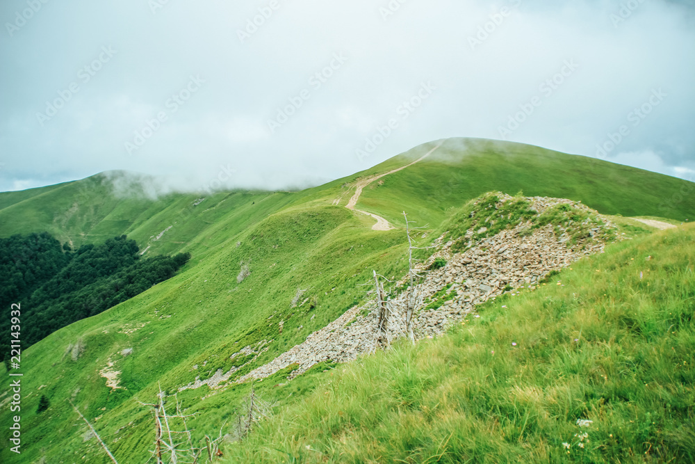 Obraz premium The summer green Carpathian mountains in Ukraine. The sky is over the mountains. Atmospheric landscapes while traveling on a jeep. Offroad expedition