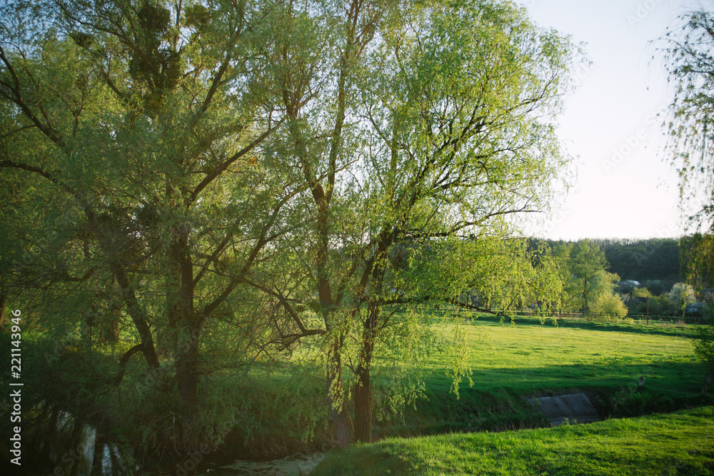 Spring evening landscape on the field in the rays of the evening sun Spring evening landscape on the field in the rays of the evening sun