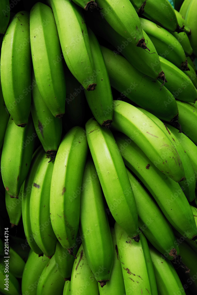 Bunch of green harvested bananas