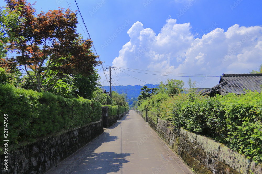 蒲生の武家屋敷の静かな一本道