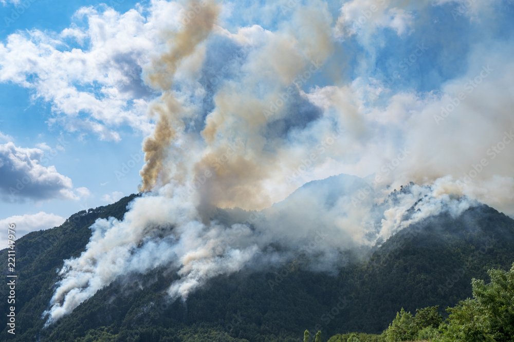 Big fire in a mountain forest with a lot of smoke Big fire in a mountain forest with a lot of smoke