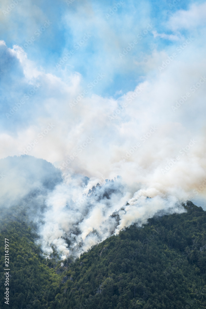 Big fire in a mountain forest with a lot of smoke