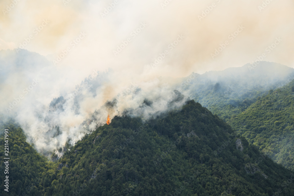 Big fire in a mountain forest with a lot of smoke