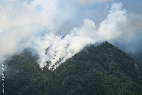 Big fire in a mountain forest with a lot of smoke © Arcansél