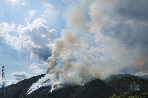 Big fire in a mountain forest with a lot of smoke