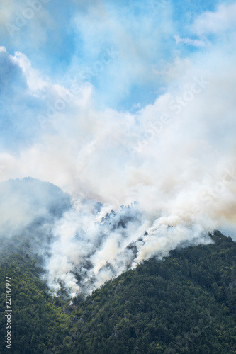 Big fire in a mountain forest with a lot of smoke