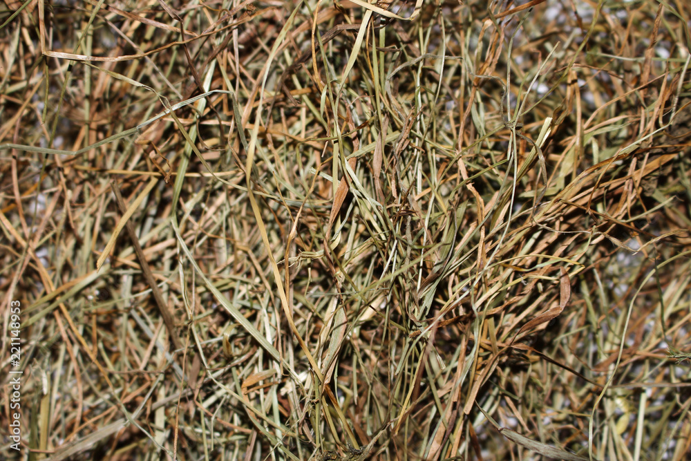 Background of dry hay Background of dry hay