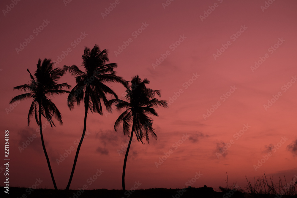 Sunrise Negombo Beach Sri lanka