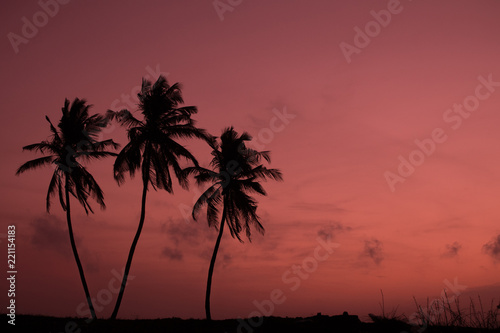 Sunrise Negombo Beach Sri lanka