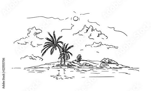 Fototapeta  palm tree on sand island