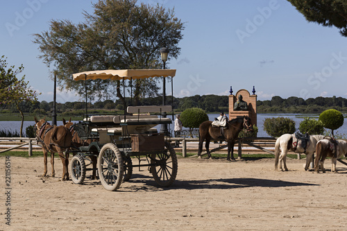 Carro de caballos y ponis en la Aldea del Rocío, Huelva