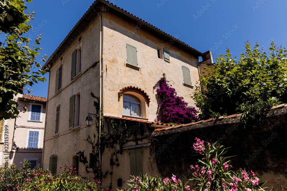 low angle view of beautiful traditional house with green vegetation and blooming flowers at sunny day, provence, france