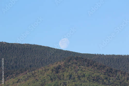 Carpathian forest, moon over the hill, forest in the mountains