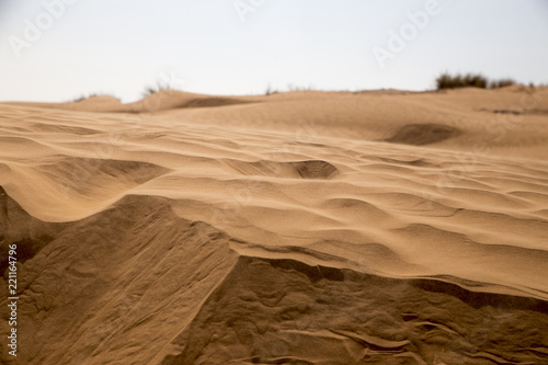  Dunes of the desert.  