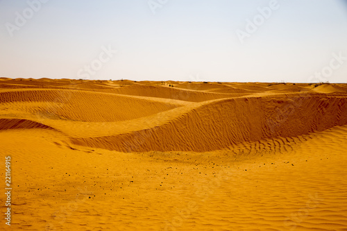  Dunes of the desert. 