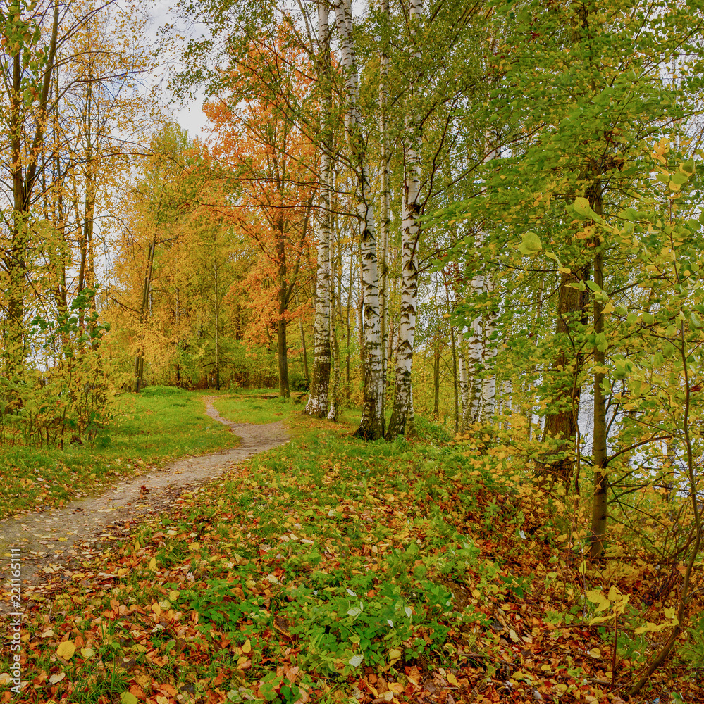 Golden autumn in the village of Ust-Izhora, Leningrad region.  The Bank of the river Neva.