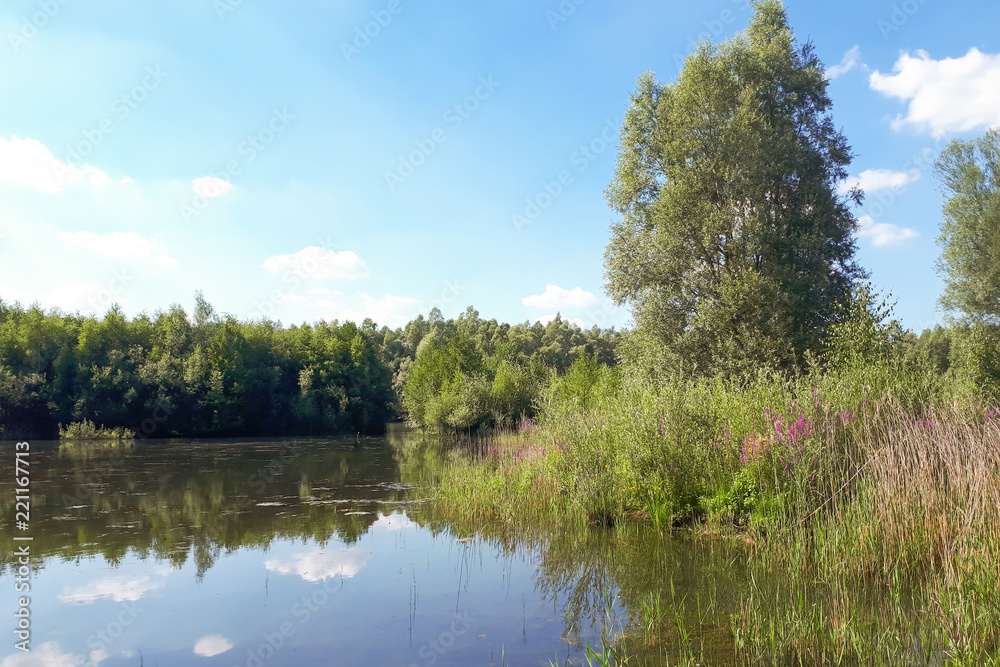 Wood and white clouds in the blue sky reflected in the mirrored water of a lake