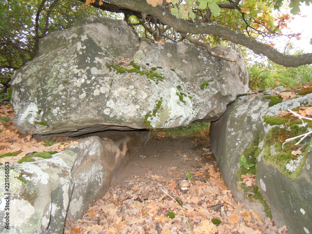 Obraz premium nature