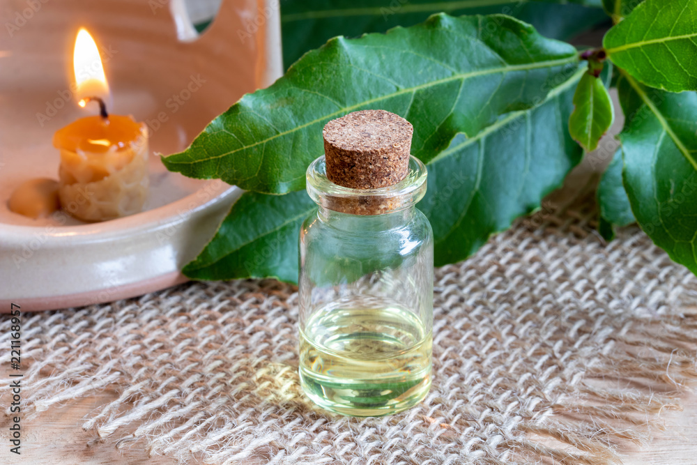 A bottle of bay leaf essential oil with fresh bay leaves