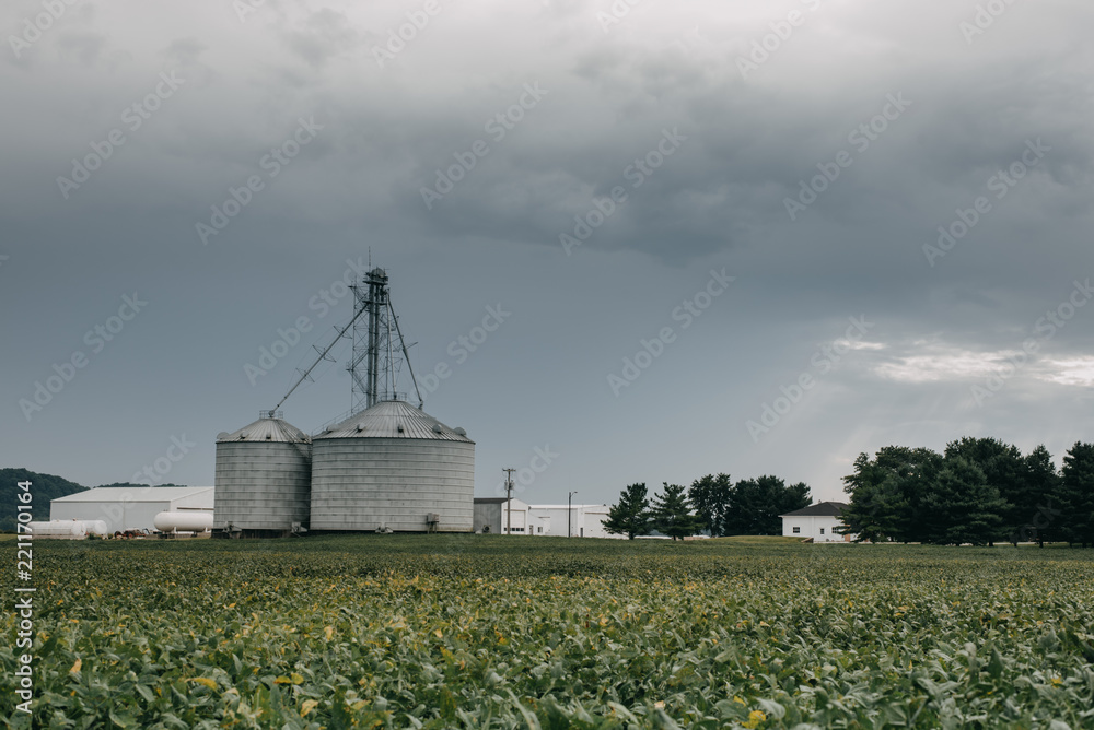 Landscape view of a farm in Indiana