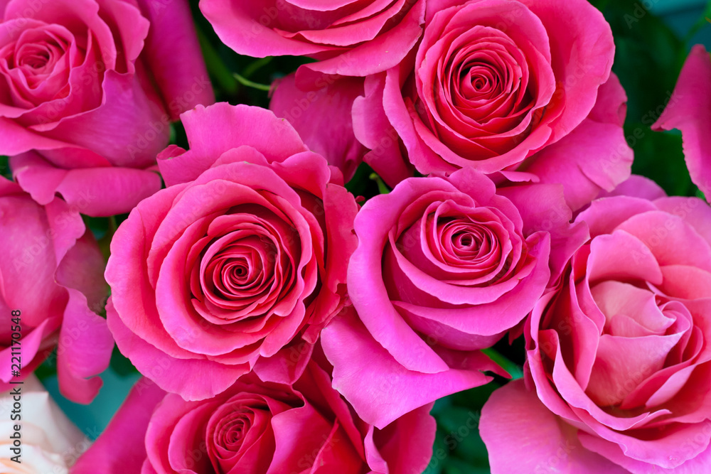 Bouquet of colorful pink roses as background, texture Bouquet of colorful pink roses as background, texture