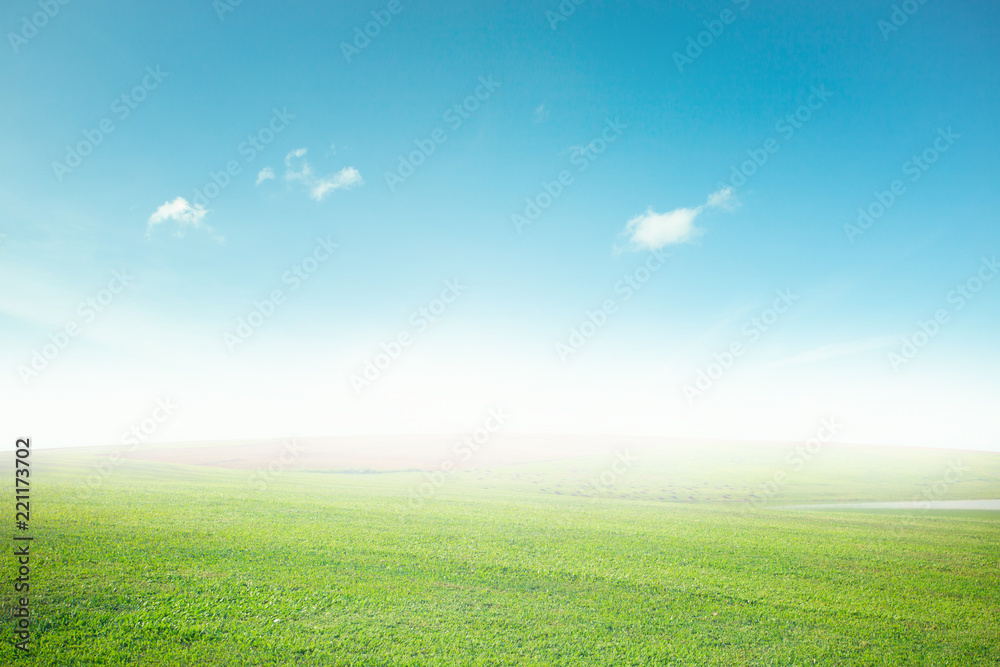 Meadow landscape and outdoor sky