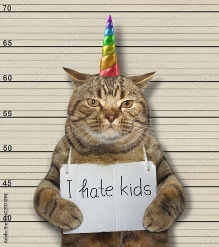 The cat unicorn hates kids. He was arrested for it.