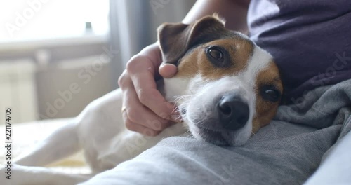 Crop view of girl gently petting his dog