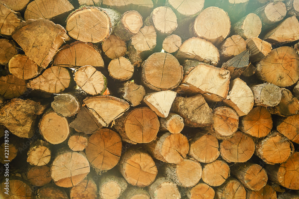 Pile of cut tree wood as abstract natural background Pile of cut tree wood as abstract natural background