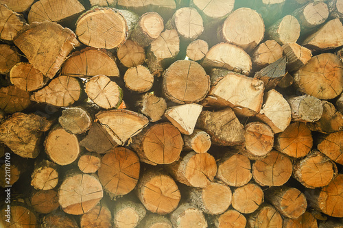 Pile of cut tree wood as abstract natural background