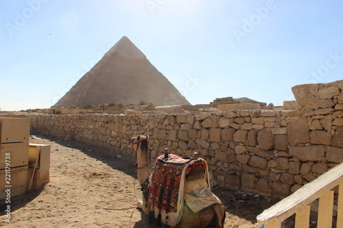 Das Kamel und die Pyramide