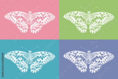 Bottom view of lime butterfly, Papilio demoleus, on colorful background
