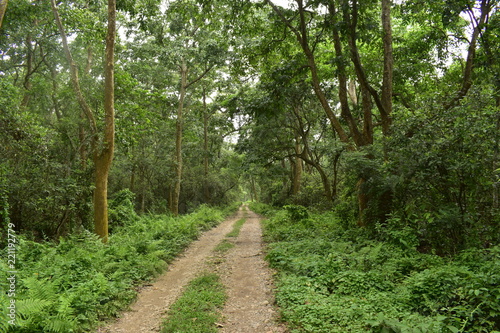 Hiking in Chitwan 