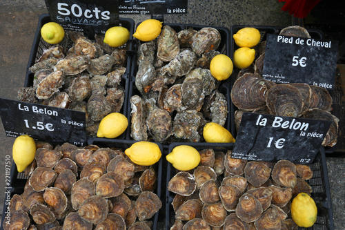 Différentes variétés d’huîtres en vente à Cancale