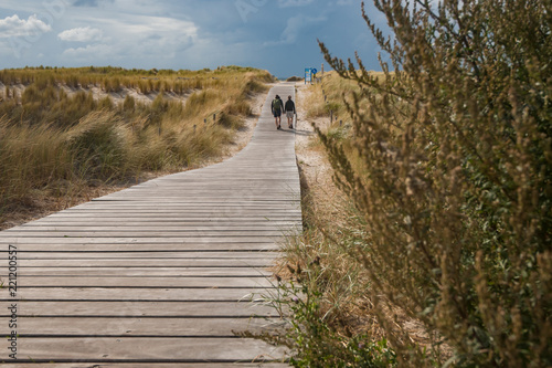 People walking in the dunes on the Dutch coast on a wooden deck path on a sunny day with blue sky and white clouds.