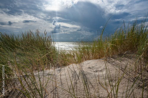 Grass covered sand dunes on the beach wuivend in de wind op een zonnige dag.