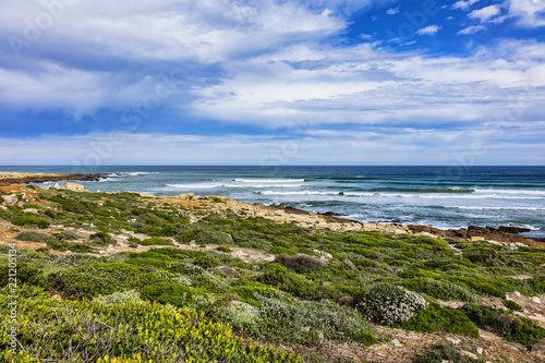 Picturesque view of the rocky shoreline of Atlantic Ocean and Platboom Beach. Platboom Bay is a beautiful beach along coastline nestled in Cape of Good Hope Nature reserve, Cape Town, South Africa.