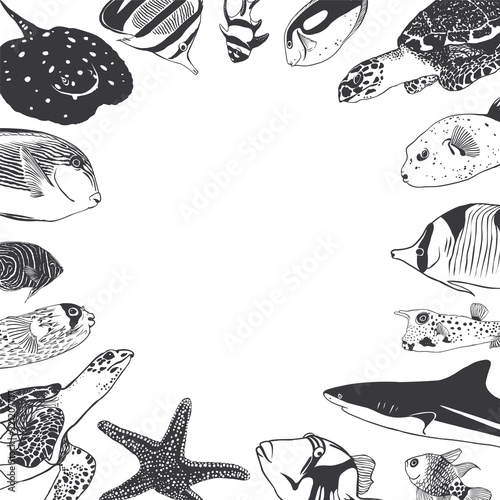  Frame with sea and ocean inhabitants