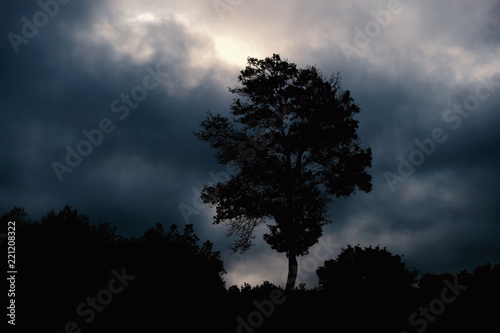 Dark and eerie landscape shows tree silhouette with clouds in the sky.
