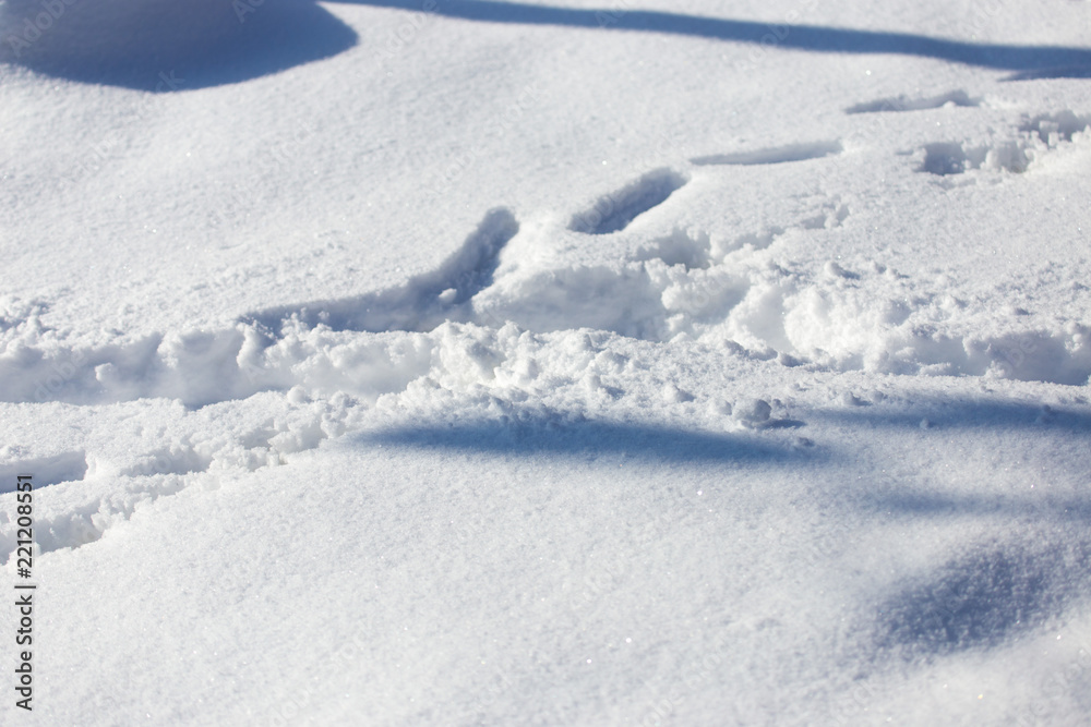 traces on the snow