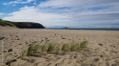 Grass on sandy terrain at Sandwood Bay beach, northern Scotland