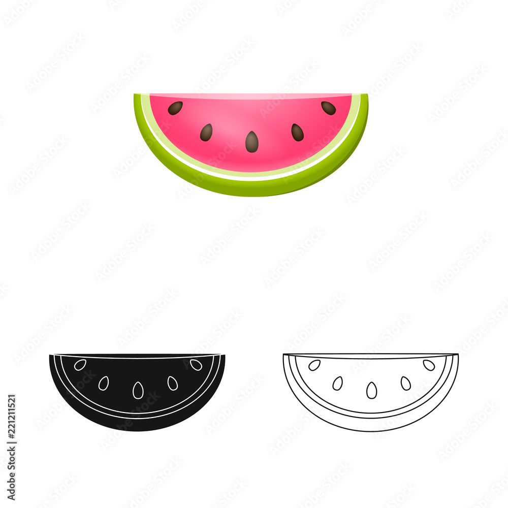 Vector illustration of equipment and swimming icon. Set of equipment and activity stock symbol for web. Vector illustration of equipment and swimming icon. Set of equipment and activity stock symbol for web.