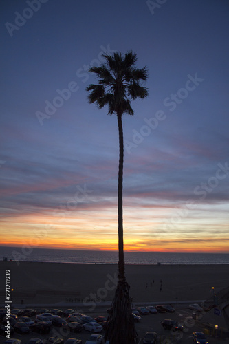 Palm Tree Silhouette at Sunset