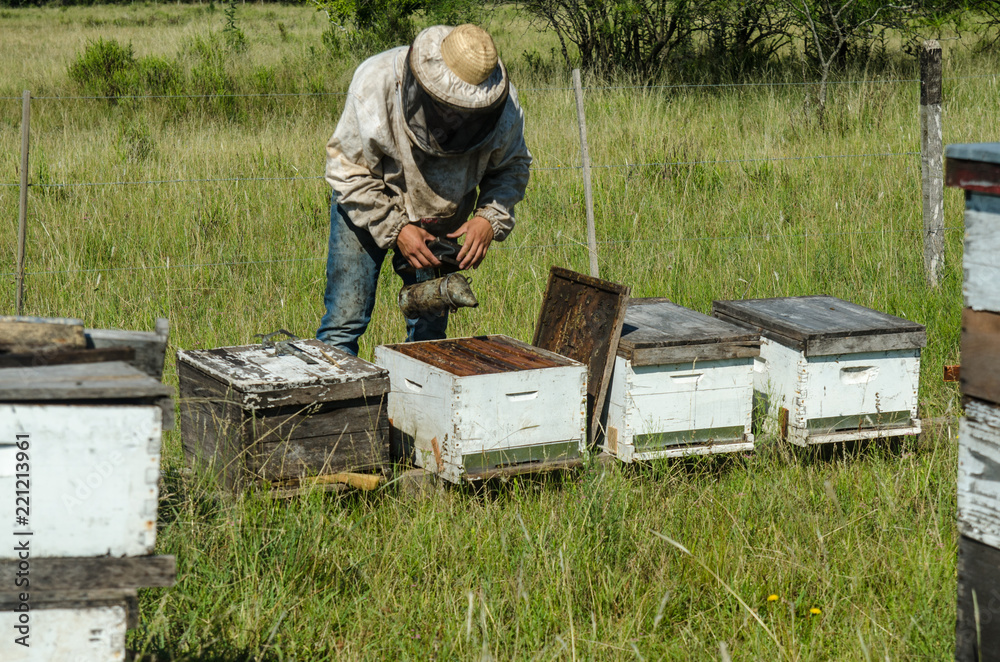 Beekeeper working Beekeeper working