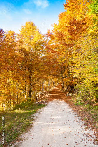 Autumn mountain landscape