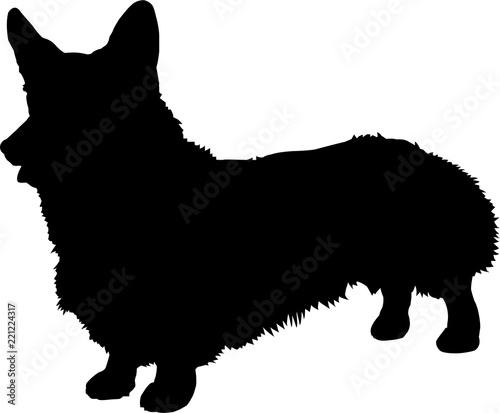 Corgi Silhouette