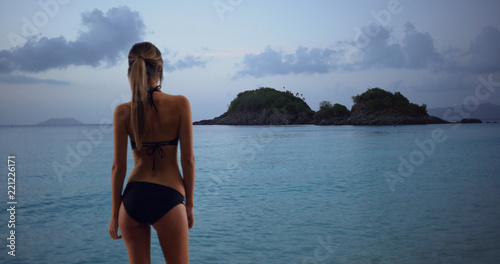 Rear view of beautiful woman in black swimsuit standing alone looking at ocean © rocketclips