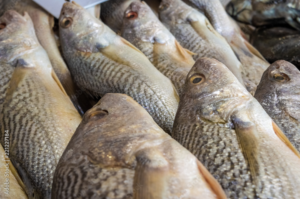 Fresh fish displayed at a street market in Brazil Fresh fish displayed at a street market in Brazil