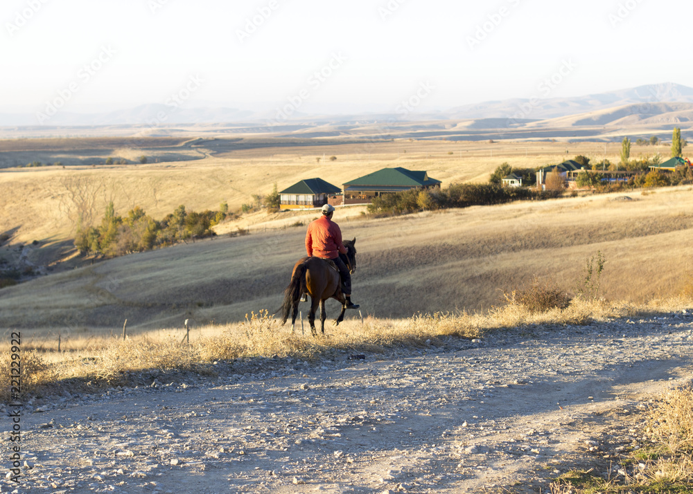 Fototapeta premium people riding in a field on a horse